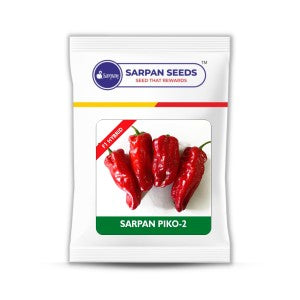 SARPAN PIKO-2 SEEDS