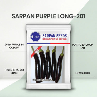 SARPAN PURPLE BRINJAL LONG - 201 (SEEDS)