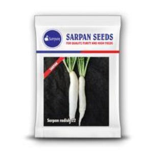 SARPAN RADISH - 22