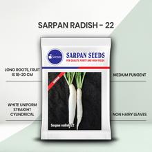 SARPAN RADISH - 22