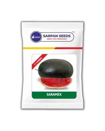 SARPAN SARAMEX Watermelon (ICEBOX)