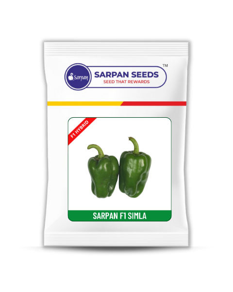 SARPAN SIMLA (BABY CAPSICUM)