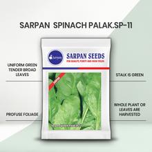 SARPAN SPINACH PALAK (SP) -11