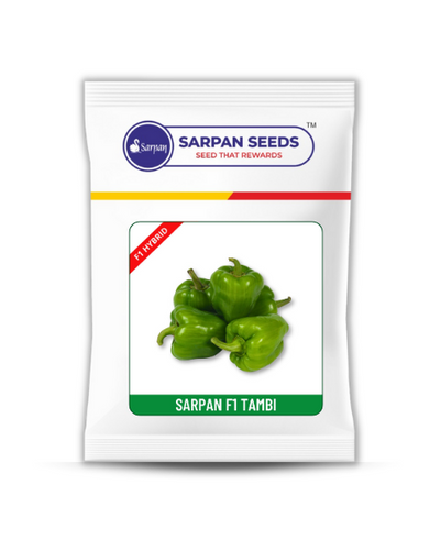 SARPAN TAMBI (BABY CAPSICUM)