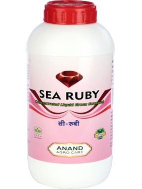 ANAND AGRO SEA RUBY LIQUID SEAWEED (PLANT GROWTH PROMOTER)