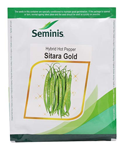 SITARA GOLD CHILLI SEEDS