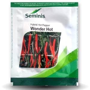 WONDER HOT CHILLI