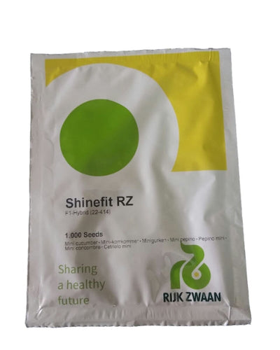 SHINEFIT RZ F1 CUCUMBER