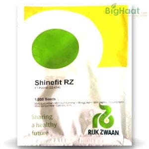 SHINEFIT RZ F1 CUCUMBER