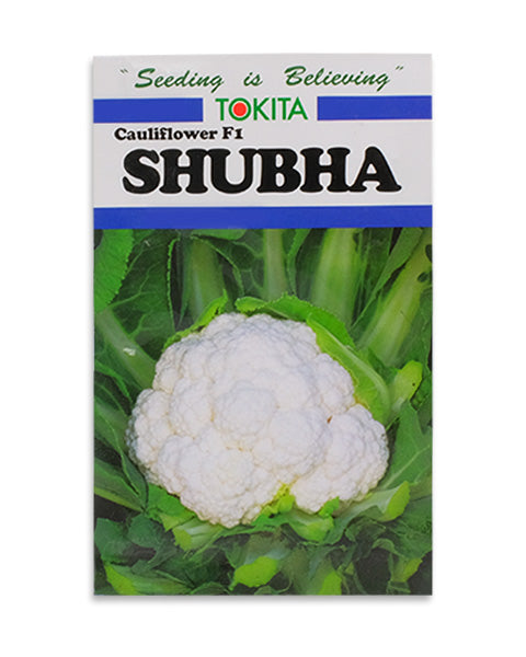 Shubha F1 Cauliflower Seeds