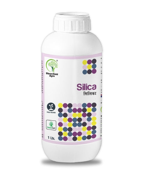 BLOOMFIELD SILICA