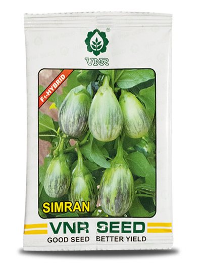 Simran F1 Hybrid Binjal Seeds