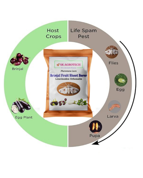 SK AGROTECH BRINJAL FRUIT & SHOOT BORER PHEROMONE LURE