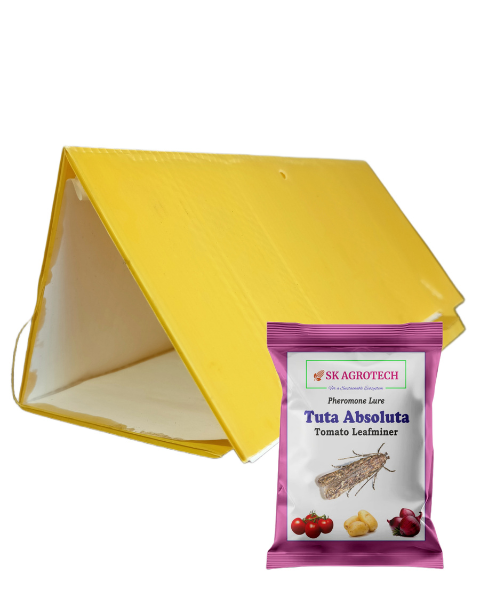 SK AGROTECH DELTA TRAP & TUTA ABSOLUTA LURE - TOMATO LEAF MINER