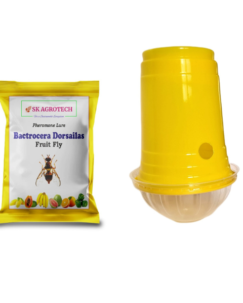 SK AGROTECH FRUIT FLY TRAP & FRUIT FLY LURE (BACTROCERA DORSALIS)