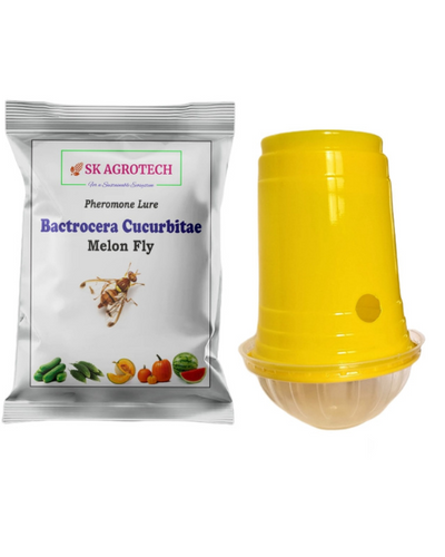 SK AGROTECH FRUIT FLY TRAP & MELON FLY LURE (BACTROCERA CUCURBITAIE)