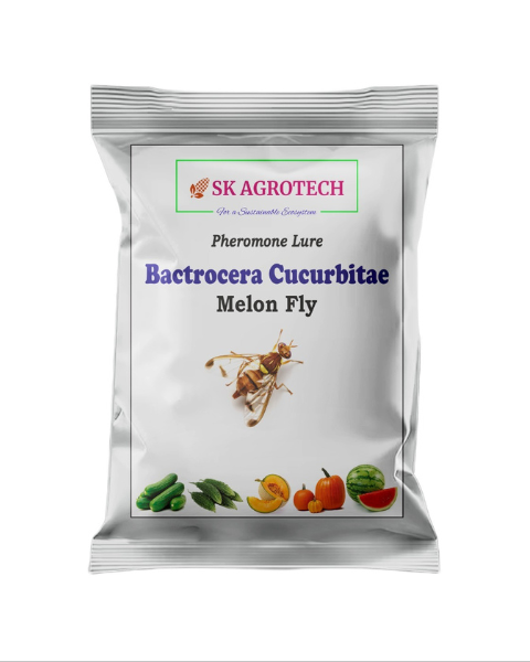 SK AGROTECH MELON FLY LURE (BACTROCERA CUCURBITAIE)