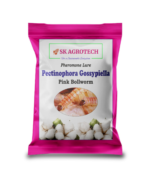 SK AGROTECH PECTINOPHORA GOSSYPIELLA PINK BOLLWORM PHEROMONE LURE