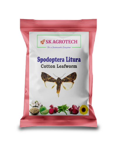 SK AGROTECH SPODOPTERA LITURA PHEROMONE LURE