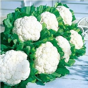 SNOW CROWN F1 CAULIFLOWER SEEDS