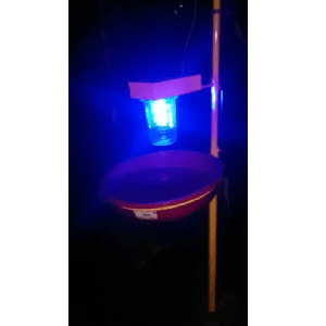 SOLAR LIGHT TRAP