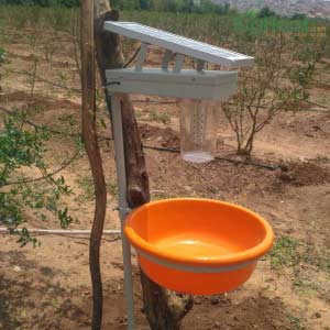 SOLAR TRAP