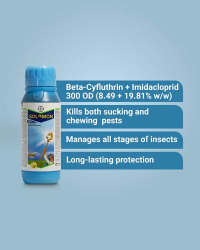 Solomon Insecticide