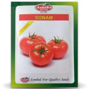 SONAM TOMATO SEEDS ( सोनम टमाटर )