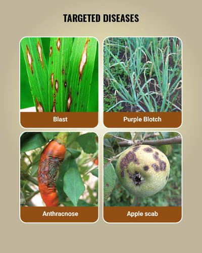 Spectrum Fungicide