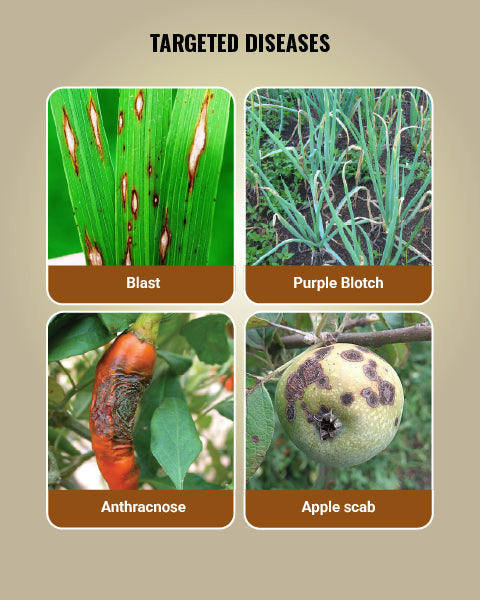Spectrum Fungicide