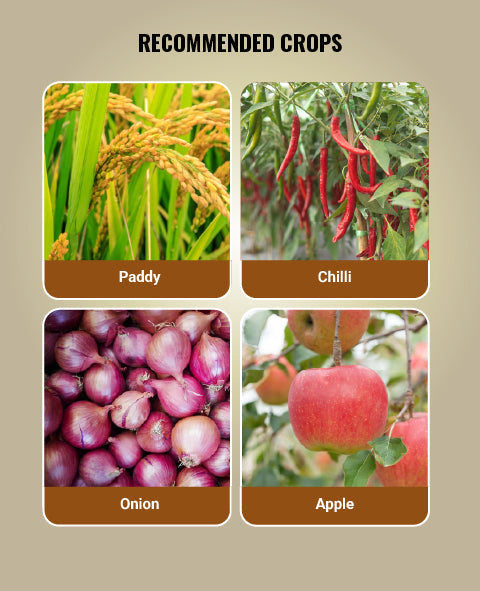Spectrum Fungicide