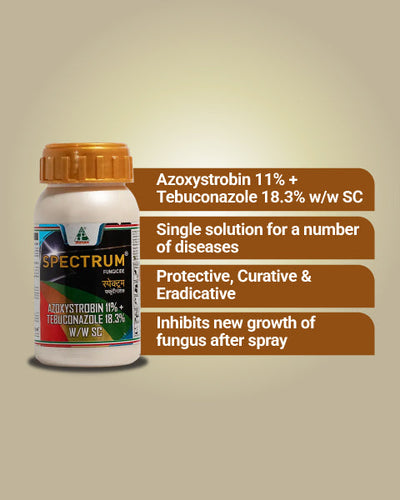 Spectrum Fungicide
