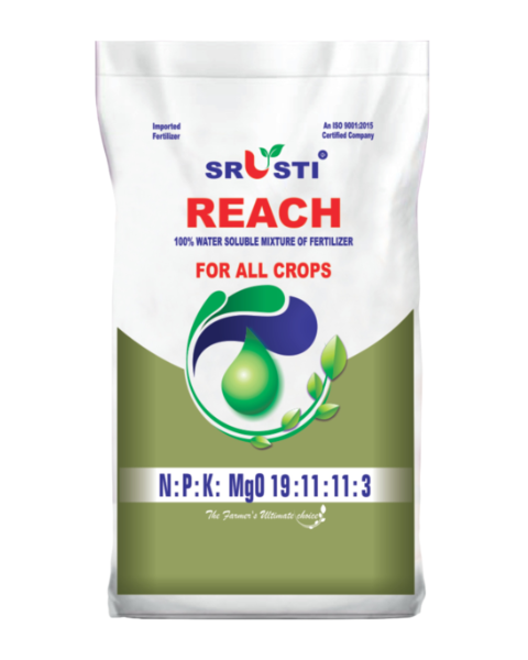 Farmroot NPK Reach (19-11-11-3Mgo+TE) Fertilizer