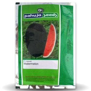 SUMAN 235 WATER MELON (सुमन)