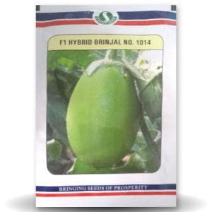 BRINJAL No. 1014