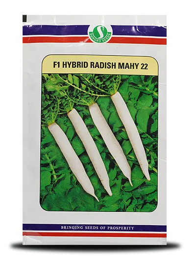 SUNGRO MAHY 22 RADISH ( माहिको 22 मूली )