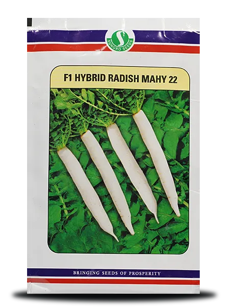 SUNGRO MAHY 22 RADISH ( माहिको 22 मूली )