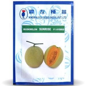 SUNRISE MUSK MELON (सनराइज)