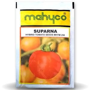 SUPARNA TOMATO SEEDS ( सुपर्णा टमाटर )