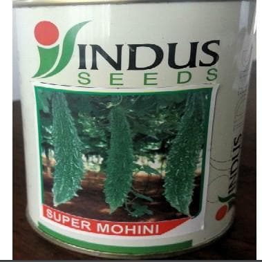 SUPER MOHINI BITTERGOURD ( सुपर मोहिनी करेला )