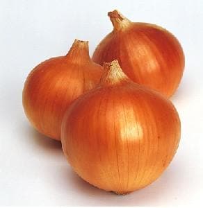 SUPEREX ONION F1