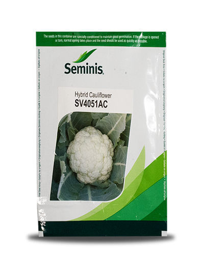 SV4051AC CAULIFLOWER SEEDS