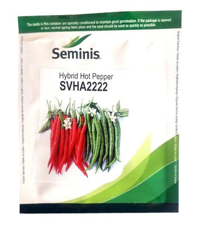 SVHA 2222 CHILLI