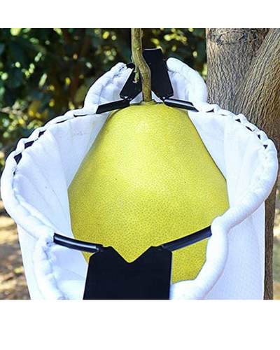 SVVAS FRUIT PICKER/HARVESTER BASKET- WITH 2 V SHAPED BLADES(SFH2V)