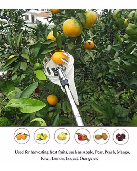 SVVAS Fruit Picker/Harvester - SFH
