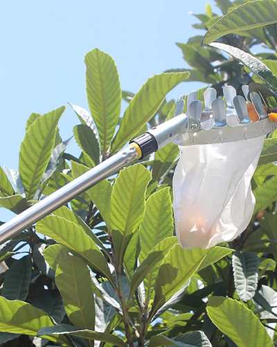 SVVAS Fruit Picker/Harvester - SFH