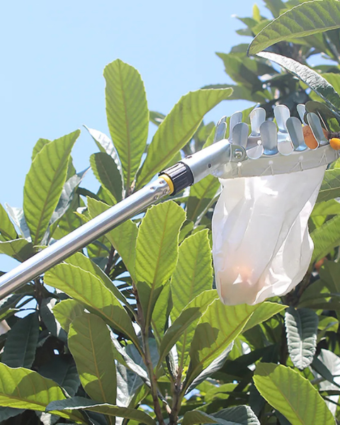 SVVAS Fruit Picker/Harvester - SFH
