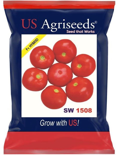 SW 1508 HYBRID ROUND TOMATO