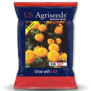 SW 507 MARIGOLD SEEDS