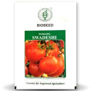 SWADESHI TOMATO ( स्वदेशी टमाटर )